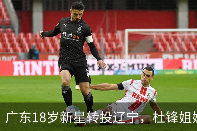 广东18岁新星转投辽宁，杜锋姐姐当选篮协副会长，2后卫试训新疆，广厦外援接受归化